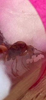 IMG_3056.jpeg