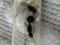 IMG_0192.jpeg
