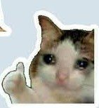 images (25)~2.jpeg