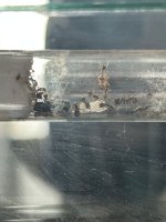 IMG_0896.jpeg