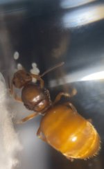 IMG_3096.jpeg