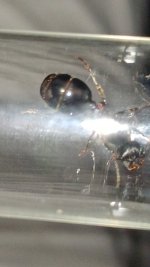 20250428_163611.jpg