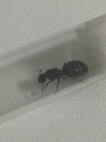 IMG_9649.jpeg