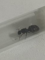 IMG_9648.jpeg
