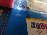 IMG_20250429_162320.jpg
