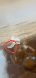IMG_3104.jpeg