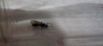 IMG_20250429_171658.jpg