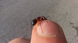 IMG_20220428_182518.jpg
