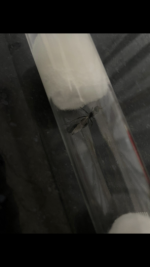 6D782E81-8576-4BC5-A0D3-39725DB67311.png