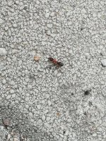 IMG_20220504_112348.jpg
