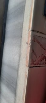 20220504_152721.jpg