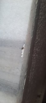 20220504_152741.jpg