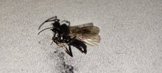 IMG_20250429_192630.jpg