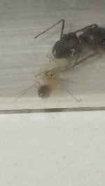 20250422_135949.jpg