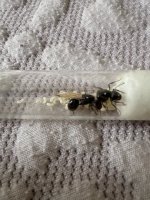 IMG_0232.jpeg