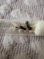 IMG_0229.jpeg