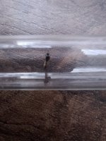 20250501_111906.jpg