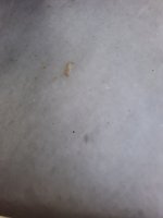 20250501_155818.jpg