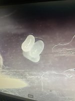 IMG_2764.jpeg