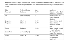 Lasius Niger canlı yemli program.PNG