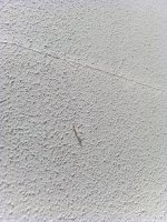 IMG_20250503_123608.jpg