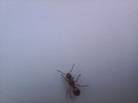 20250503_175007.jpg