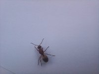 20250503_175005.jpg