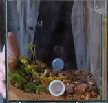 Screenshot_20250501-210246_YouTube.jpg
