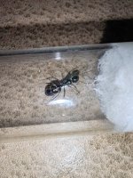IMG_20250503_210729.jpg