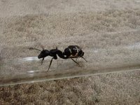 IMG_20250503_210257.jpg