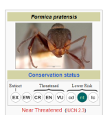 formica.png