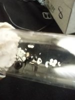 IMG20250503122923.jpg