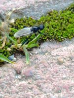 IMG_20250504_120113.jpg