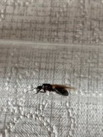 IMG_1166.jpeg