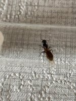 IMG_1167.jpeg