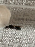 IMG_1172.jpeg