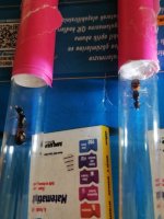 IMG_20250429_162426.jpg