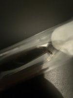 IMG_1764.jpeg