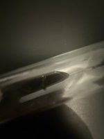 IMG_1763.jpeg