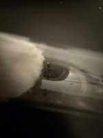IMG_1761.jpeg