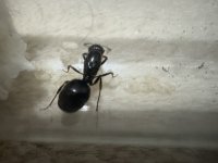 IMG_4255.jpeg IMG_4255.jpeg