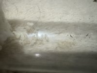 IMG_4246.jpeg