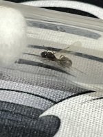 IMG_0361.jpeg