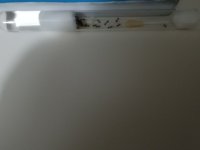 IMG_20250505_220255.jpg