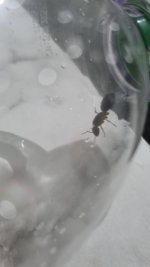 IMG-20250506-WA0000.jpeg