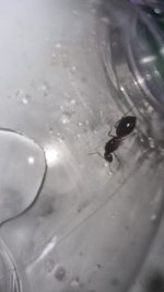 IMG-20250506-WA0002.jpeg