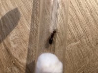 IMG_3975.jpeg