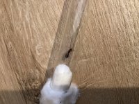 IMG_3973.jpeg