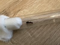 IMG_3972.jpeg