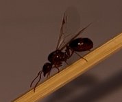 IMG_0388.jpeg